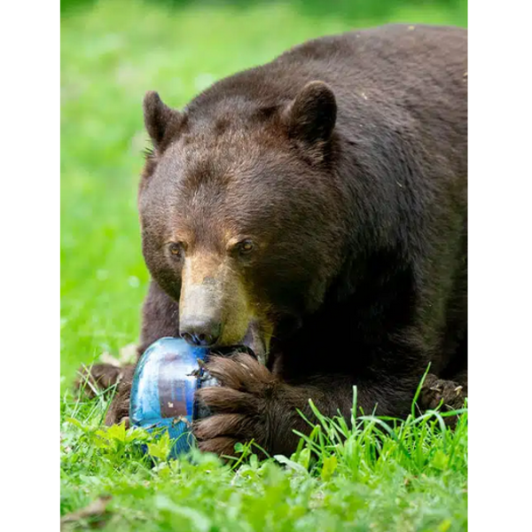 BEAR VAULT Sprint Bear Resistant Food Container 5 L