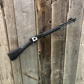 ROSSI GALLERY 22 LR 18"