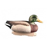 FINAL APPROACH MALLARD SPECKLE BELLIES 12 pk (Includes 7 Drakes & 5 Hens)