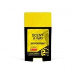 SCENT-A-WAY Saw Max Odorless Antiperspirant