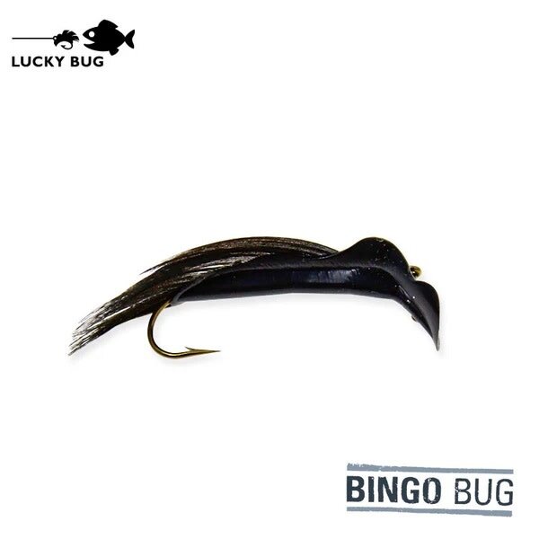 LUCKY BUG #6 Bingo Bug (Med)