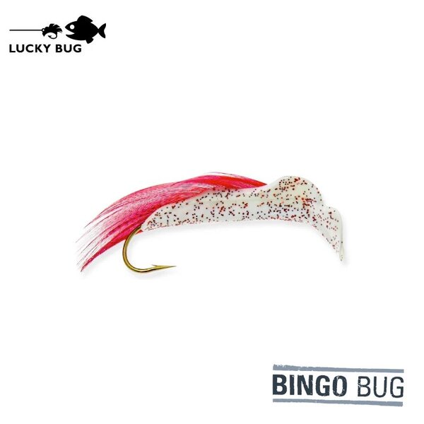 LUCKY BUG #6 Bingo Bug (Med)