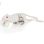 SAVAGE GEAR 3D Rat Bait Floating 1 oz 7-3/4"
