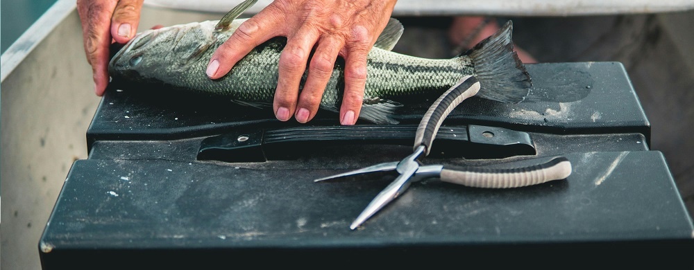 Fishing Accessories