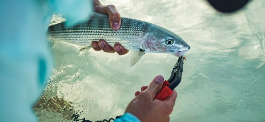 Fishing Pliers