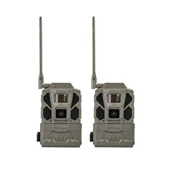 TACTACAM Reveal X 3.0 Canadian Version 2 PACK