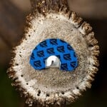 RIVEN RS1 Small Dome Elk Call