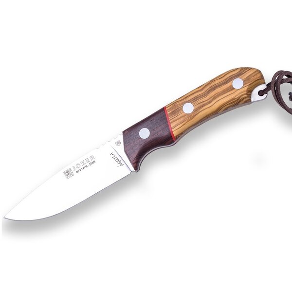 JOKER KNIVES Aguila Olive Wood w/Rosewood Bolster 4.2"