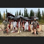 KOOLA BUCK Light Weight Synthetic Elk Bags 5 pack