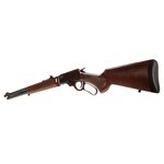 ROSSI R95 45-70 Govt Blk/HW 6rd 22"