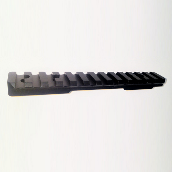 TALLEY Ruger 10/22 Picatinny Rail