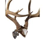 SKULL HOOKER Bone Bracket/Skull Cap Combo