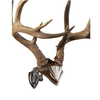 SKULL HOOKER Bone Bracket/Skull Cap Combo