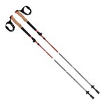 ALLEN Alpha Aluminum Trekking Poles
