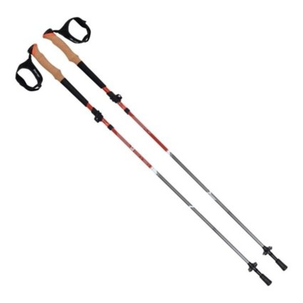 ALLEN Alpha Aluminum Trekking Poles