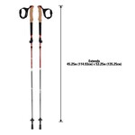 ALLEN Alpha Aluminum Trekking Poles