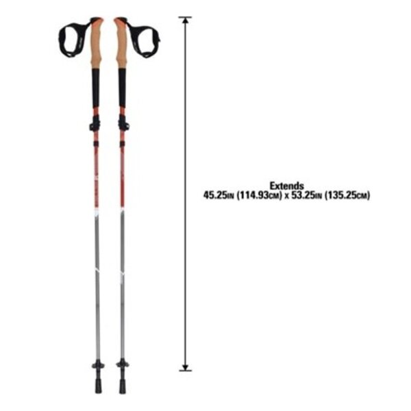 ALLEN Alpha Aluminum Trekking Poles