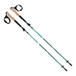 ALLEN Alpha Aluminum Trekking Poles