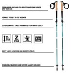 ALLEN Alpha Aluminum Trekking Poles