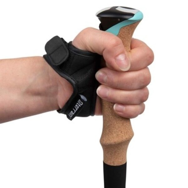 ALLEN Alpha Aluminum Trekking Poles