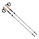 ALLEN Alpha Aluminum Trekking Poles