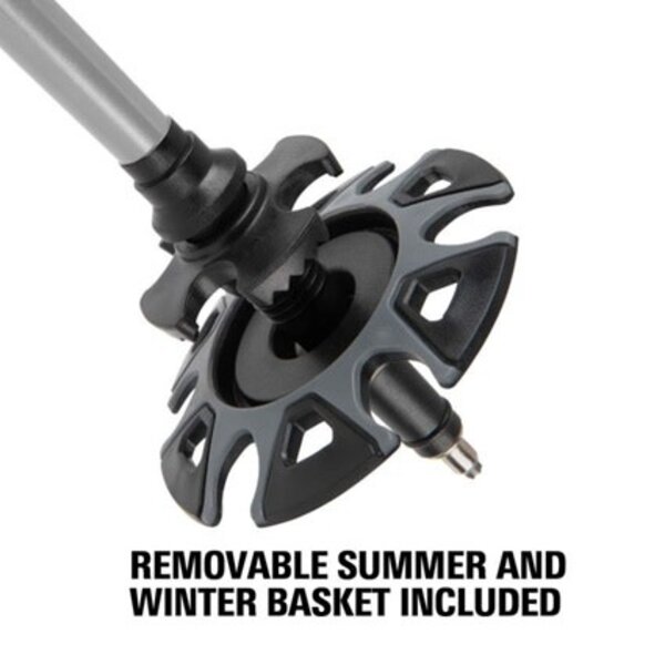 ALLEN Alpha Aluminum Trekking Poles