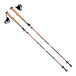 ALLEN Vertex Carbon Trekking Poles