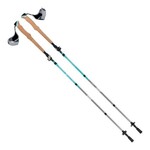 ALLEN Vertex Carbon Trekking Poles