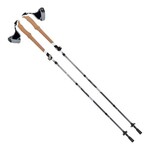 ALLEN Vertex Carbon Trekking Poles