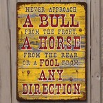 RIVERS EDGE Bull Direction