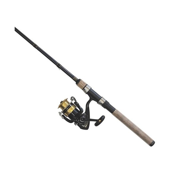 DAIWA D-Shock Spin Combo 1BB, 6'6, Medium, 2pc