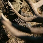 CRISPI Briksdal MTN GTX Wide (EE) Grey/Orange