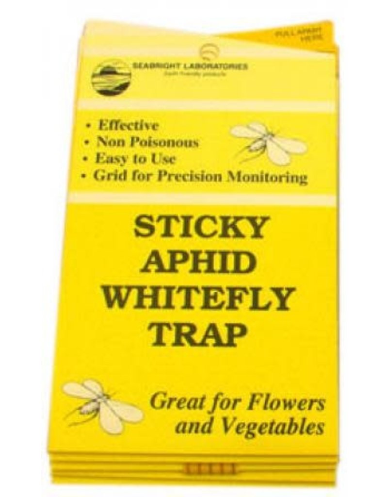 White Fly Traps, 5 pack - Pod-Grown