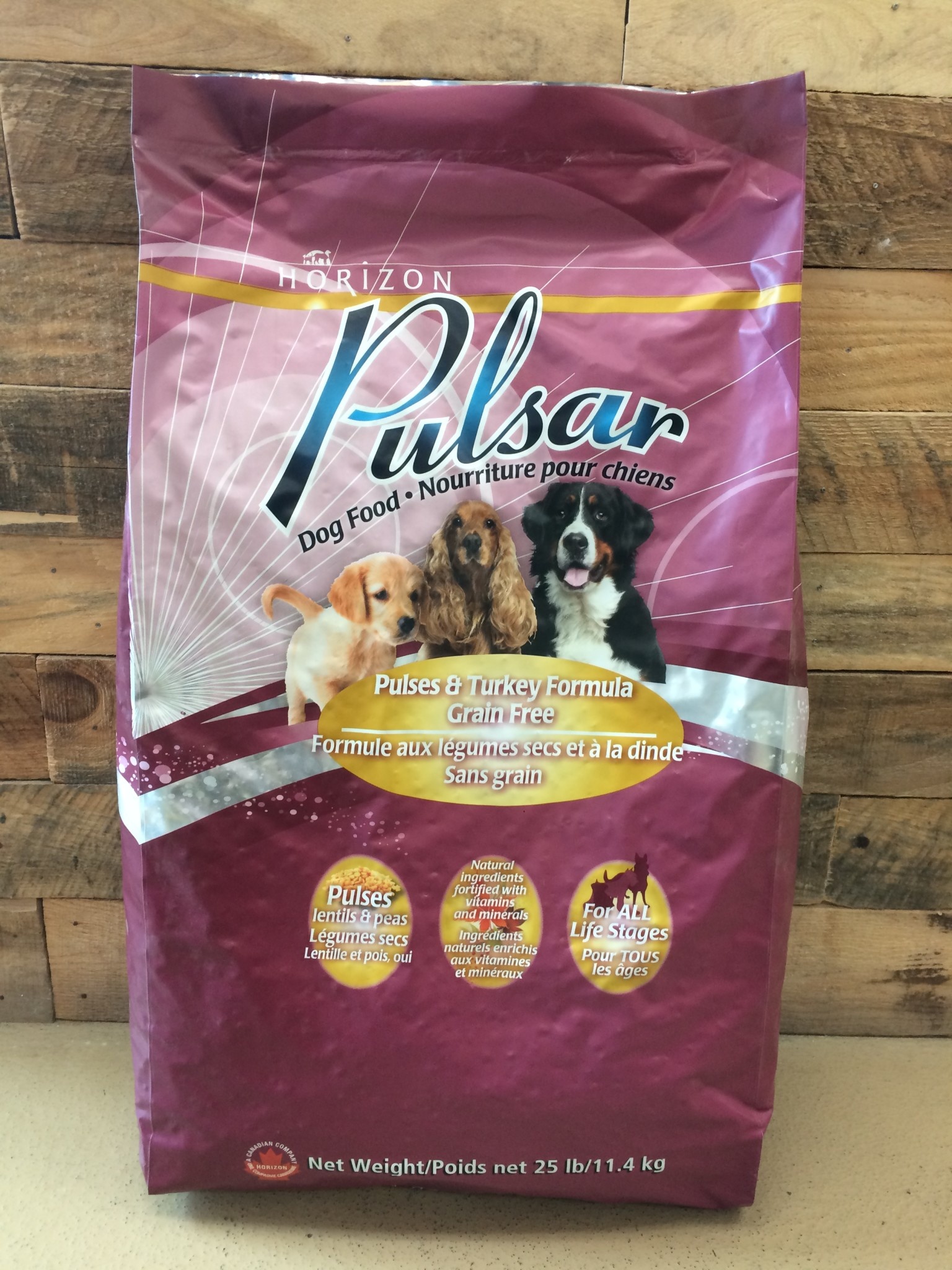 pulsar dog
