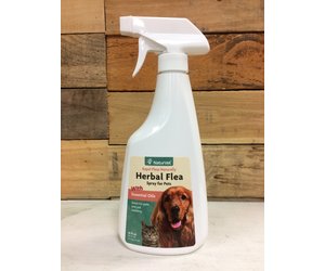 herbal flea spray