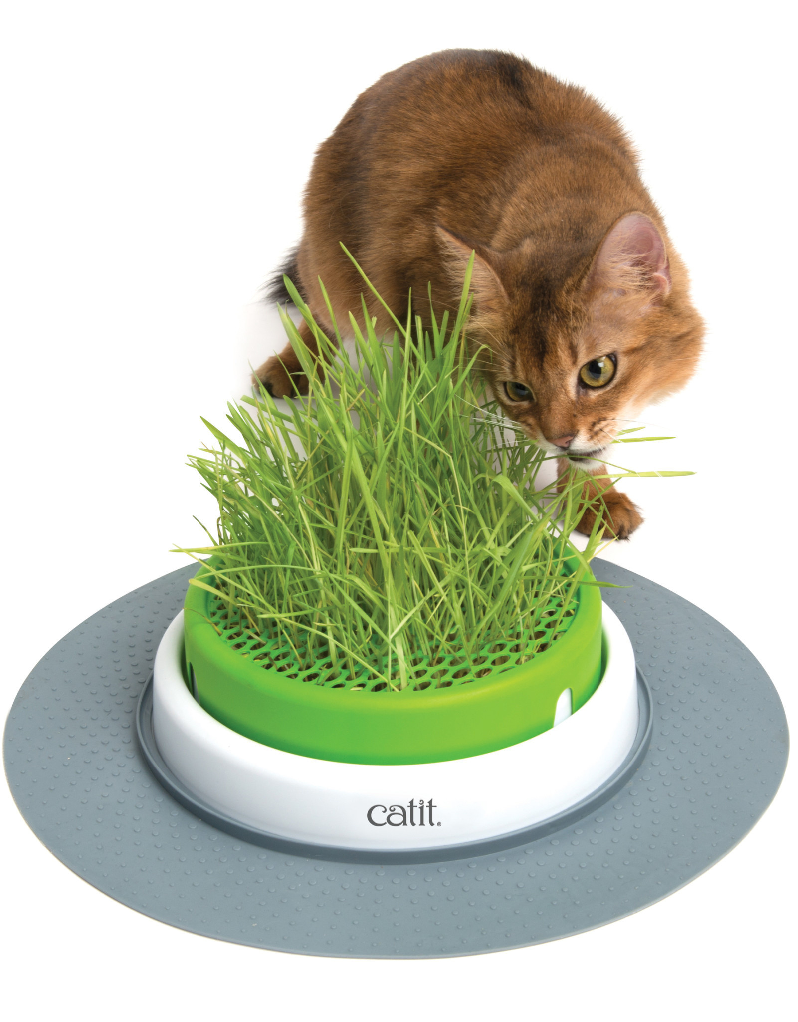 Hagen Catit Senses 2.0 grass planter