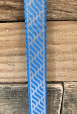Coastal Lazer Brite Blue Collar & Leashes