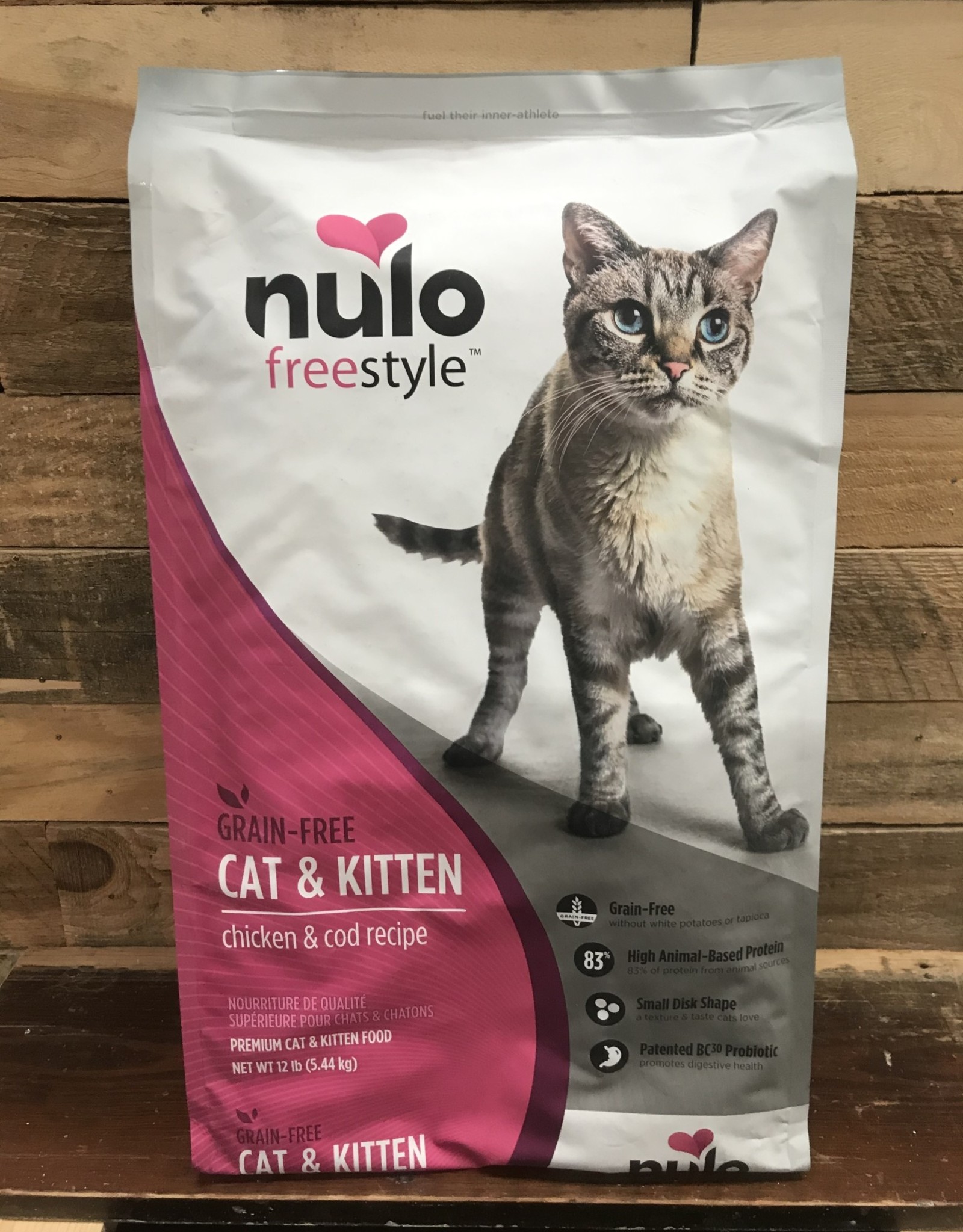 nulo kitten