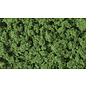 WOODLAND SCENICS WOO FC683 Clump Foliage Medium Green