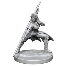 WIZKIDS WK 90225 D&D Nolzur's Marvelous Unpainted Miniatures: Wave 14: Human Monk  Female