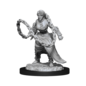 WIZKIDS WK 90225 D&D Nolzur's Marvelous Unpainted Miniatures: Wave 14: Human Monk  Female