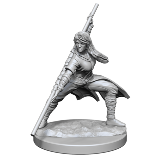 WIZKIDS WK 90225 D&D Nolzur's Marvelous Unpainted Miniatures: Wave 14: Human Monk  Female