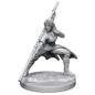 WIZKIDS WK 90225 D&D Nolzur's Marvelous Unpainted Miniatures: Wave 14: Human Monk  Female
