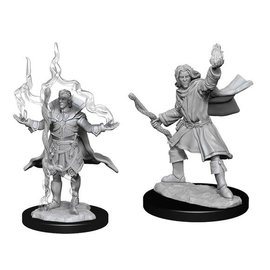 WIZKIDS WK 90262 Pathfinder Deep Cuts Unpainted Miniatures: Wave 14: Elf Sorcerer Male