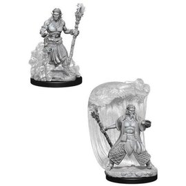 WIZKIDS WK 73337 D&D Nolzur's Marvelous Unpainted Miniatures: Wave 5: Water Genasi Male Druid