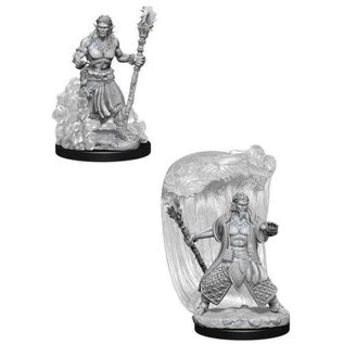 WIZKIDS WK 73337 D&D Nolzur's Marvelous Unpainted Miniatures: Wave 5: Water Genasi Male Druid