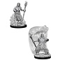 WIZKIDS WK 73337 D&D Nolzur's Marvelous Unpainted Miniatures: Wave 5: Water Genasi Male Druid