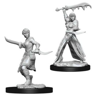 WIZKIDS WK 73831 FEMALE HUMAN ROGUE WAVE 10  NOLZUR'S MARVELOUS MINIATURES