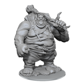 WIZKIDS WK 90497 D&D Nolzurs Marvelous Miniatures: Wave 17: Hill Giant