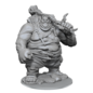 WIZKIDS WK 90497 D&D Nolzurs Marvelous Miniatures: Wave 17: Hill Giant